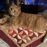 Entry image for Molly