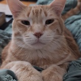 Entry image for Jackson