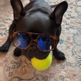 Entry image for Nitro