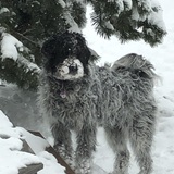 Entry image for Lucy