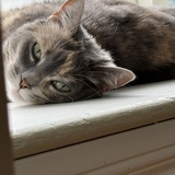 Entry image for Aria