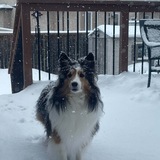 Entry image for Maizee 