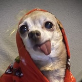 Entry image for Connor