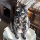 Entry image for Marley 