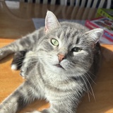 Entry image for Pennie