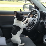 Entry image for Lulu 