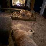 Entry image for Jordyn &Lexi