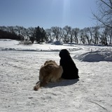 Entry image for Millie and Margo