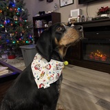 Entry image for Willow