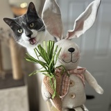 Entry image for Willow