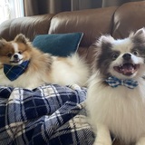 Entry image for Philly & Harry