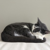 Entry image for Winnie