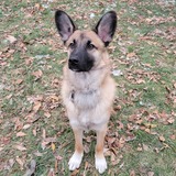 Entry image for Brick