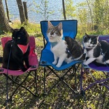 Entry image for Axl Rose