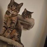 Entry image for Kyra and Harriette 
