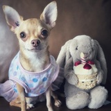 Entry image for Maddie
