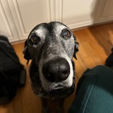 Entry image for Trigger