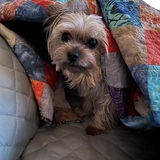 Entry image for Darby