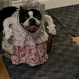 Entry image for Gina