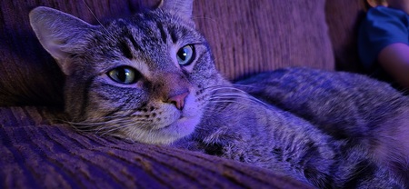 Entry image for Tessy. Clicking this image will show a larger photo