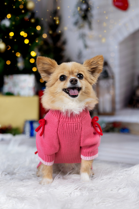 Entry image for Lani. Clicking this image will show a larger photo