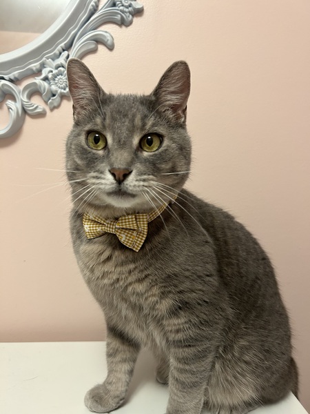 Entry image for Booker . Clicking this image will show a larger photo