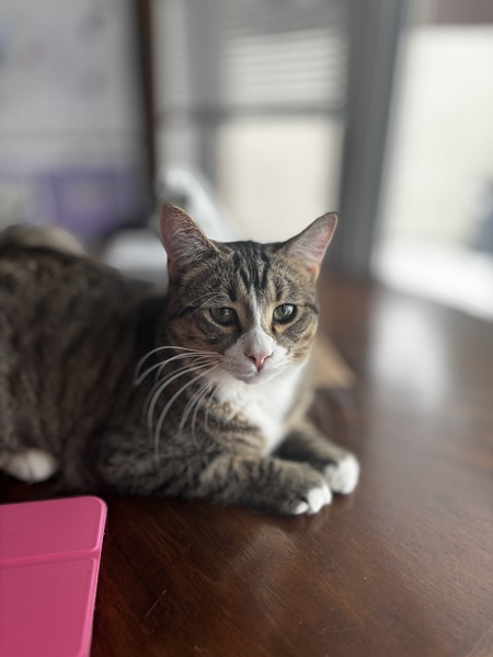 Entry image for Turbo formally known as Day. Clicking this image will show a larger photo