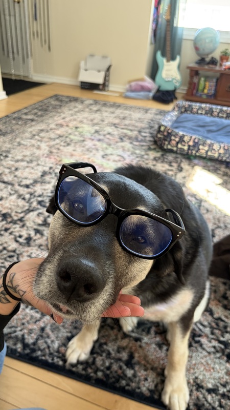 Entry image for Maggie. Clicking this image will show a larger photo