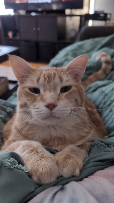 Entry image for Jackson. Clicking this image will show a larger photo