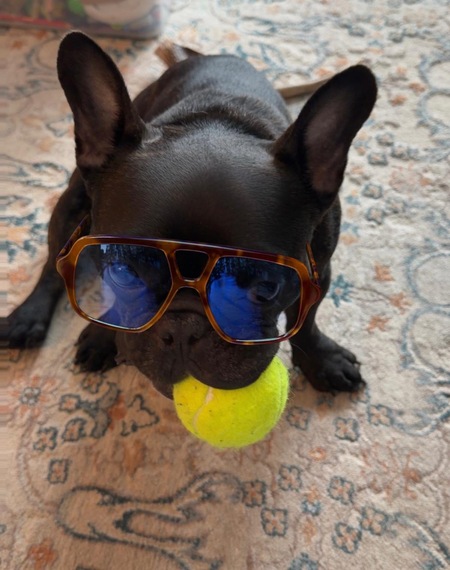 Entry image for Nitro. Clicking this image will show a larger photo