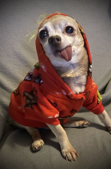 Entry image for Connor. Clicking this image will show a larger photo