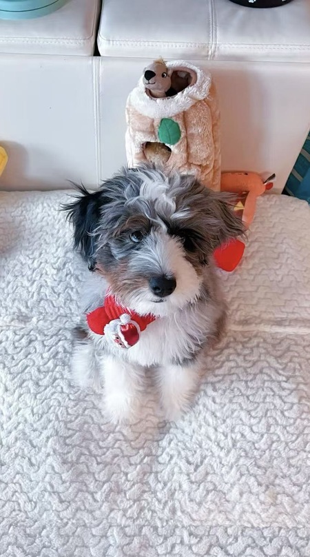 Entry image for NanNan. Clicking this image will show a larger photo