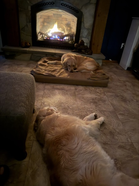 Entry image for Jordyn &Lexi. Clicking this image will show a larger photo