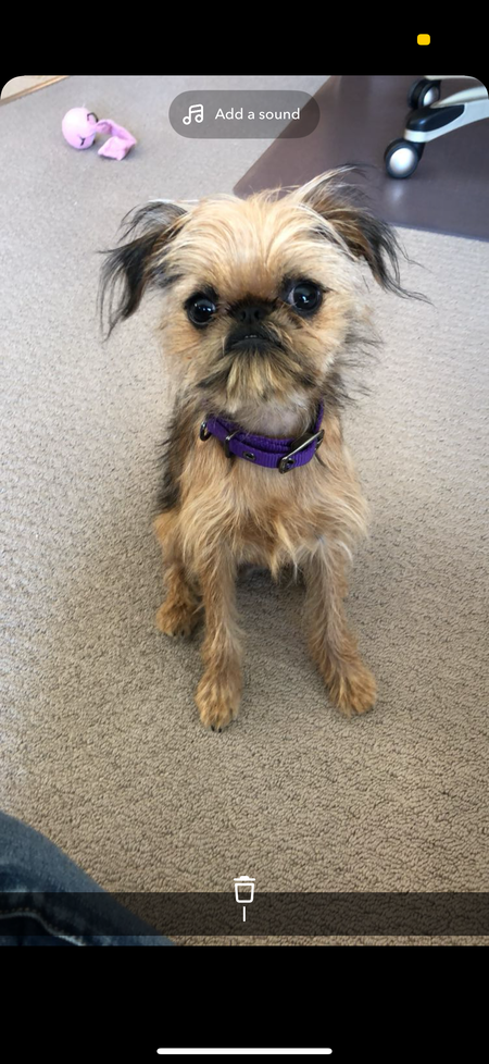 Entry image for Remi. Clicking this image will show a larger photo