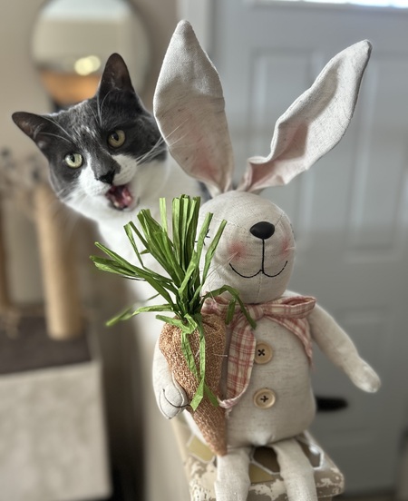 Entry image for Willow. Clicking this image will show a larger photo