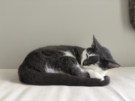 Entry image for Winnie. Clicking this image will show a larger photo