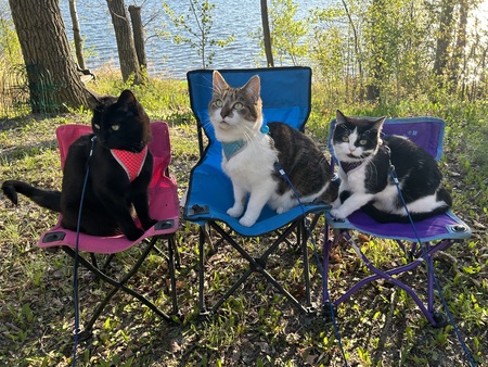 Entry image for Axl Rose. Clicking this image will show a larger photo