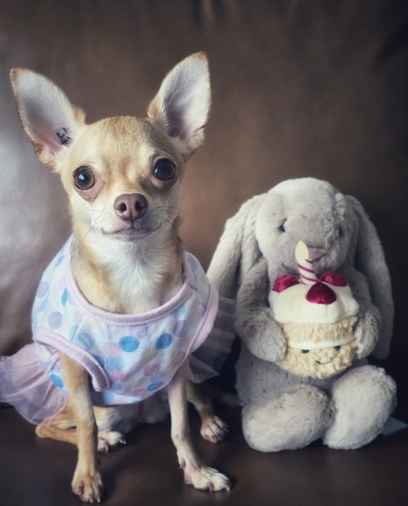 Entry image for Maddie. Clicking this image will show a larger photo