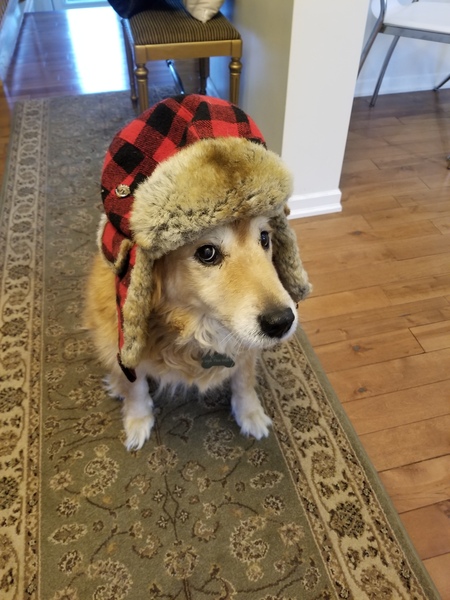 Entry image for Annie. Clicking this image will show a larger photo