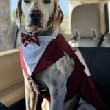 Entry image for Sunny