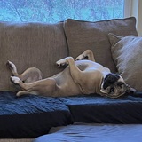 Entry image for Jenny