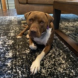 Entry image for Bay Bay