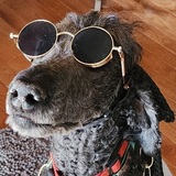 Entry image for Babu