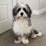 Entry image for Sonny