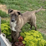 Entry image for Zeke