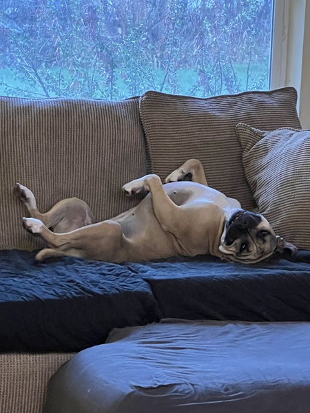 Entry image for Jenny. Clicking this image will show a larger photo