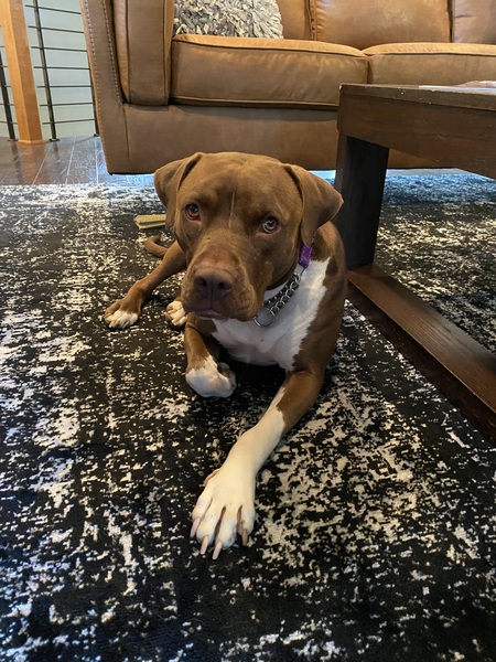 Entry image for Bay Bay. Clicking this image will show a larger photo