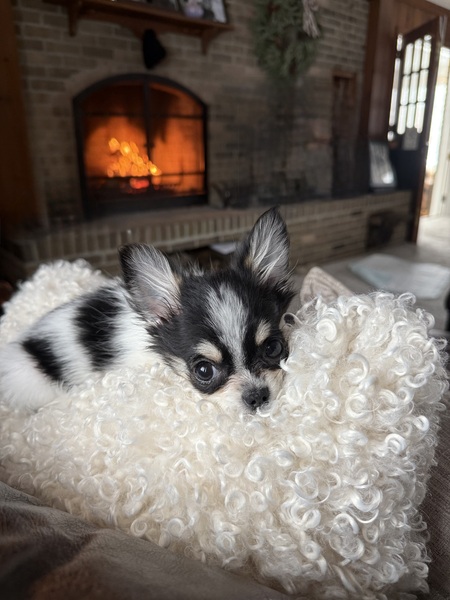 Entry image for Marty. Clicking this image will show a larger photo