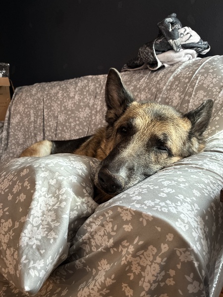 Entry image for Kai. Clicking this image will show a larger photo