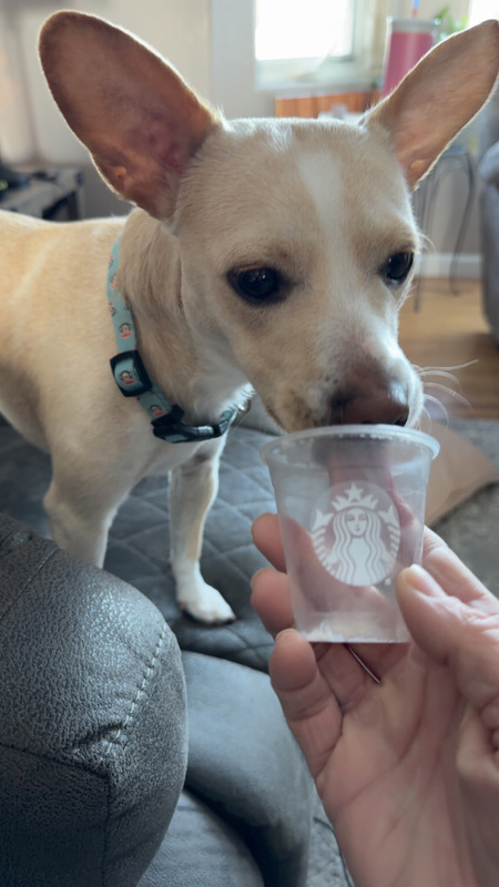 Entry image for Nugget . Clicking this image will show a larger photo